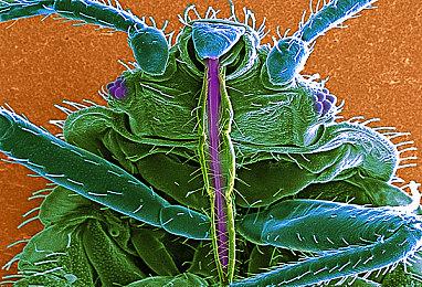 为了《漫威蜘蛛侠2》在沙特过审 索尼删除了游戏中LGBTQ+元素